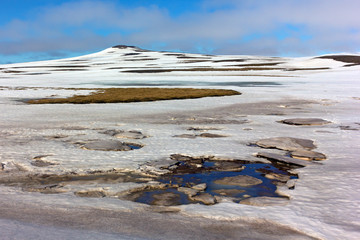 Mossy fields under snow in Northern Iceland during springtime. Panorama with snow, water and mountains.