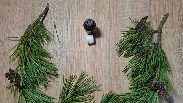 Natural essential oil. Pine aromatic oil.