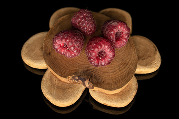 Group of four whole fresh crimson raspberry on tree stump isolated on black glass