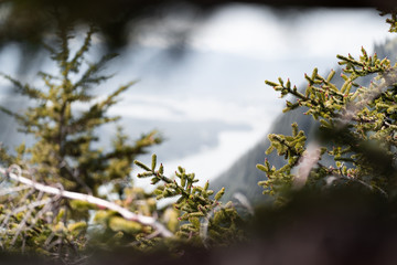 View from Mount Roberts in Juneau, Alaska