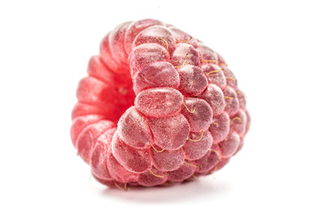 One whole fresh crimson raspberry isolated on white background