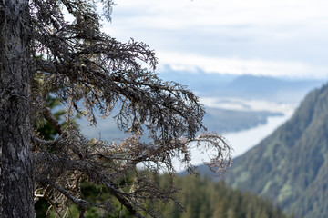 View from Mount Roberts in Juneau, Alaska