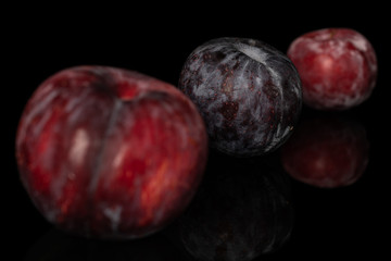 Fototapeta premium Group of three whole fresh red plum isolated on black glass