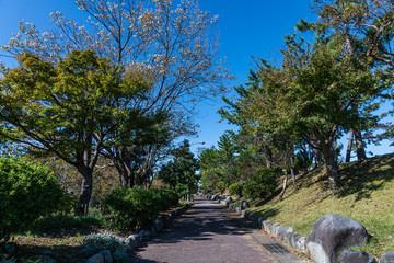 十月の公園