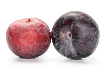 Group of two whole fresh red plum isolated on white background