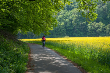 Fototapeta na wymiar Radtour im Frühling
