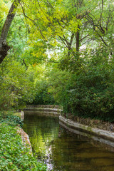 View of a canal surrounded by green vegetation in the El Capricho park in Madrid, Spain