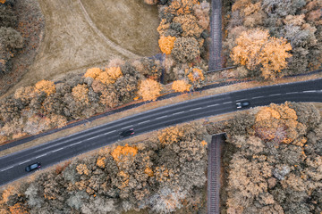 Top Down Aerial Shoot over Asphalt Road at Autumn