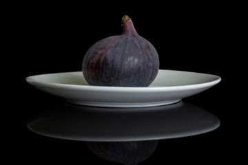 One whole fresh purple fig on white ceramic plate isolated on black glass