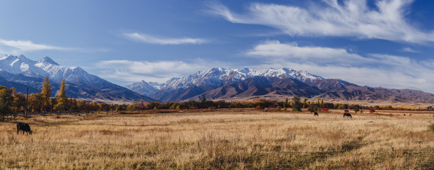 Steppe near Ala Archa national park Bishkeke Kyrgysztan with Tian Shan mountains in background