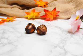 Fototapeta na wymiar Chocolate homemade Walnut shape and flower on marble background.Close up