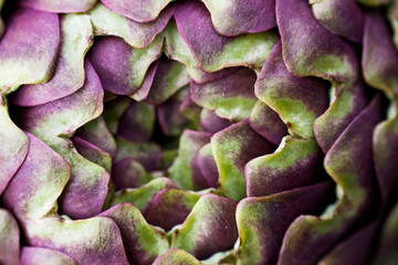 artichokes details with macro lens