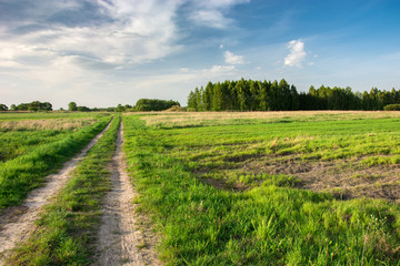 Fototapeta na wymiar Rural road through meadows, forest on the horizon and clouds on blue sky