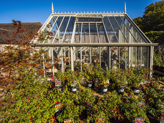 greenhouse conservatory garden sunshine summer