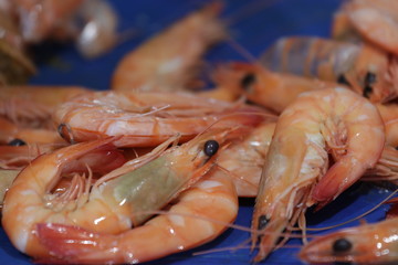 shrimps on ice
