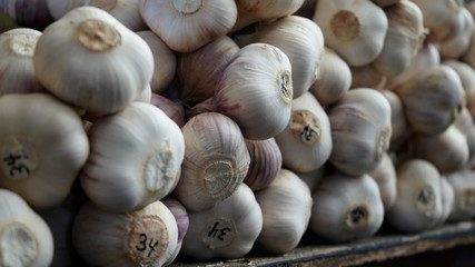 Garlic in the market