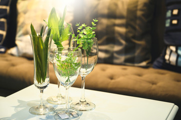 Plants in different glass vases on table in the room