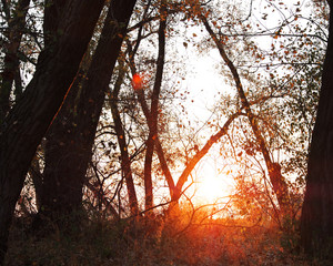 Autumn nature. Coastline.