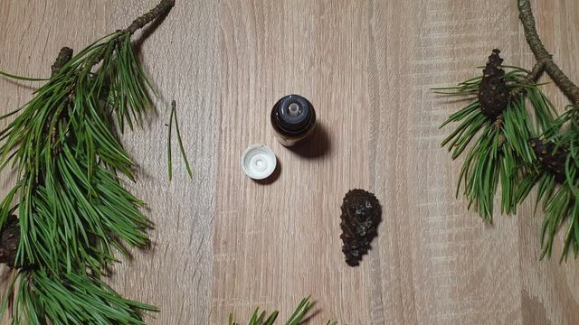 Natural essential oil. Pine aromatic oil.