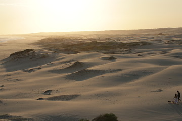 sunset in the desert