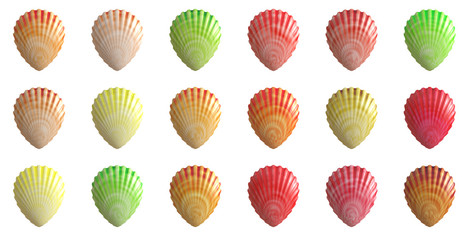 sea shell 