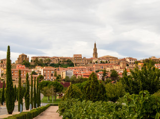 Fototapeta na wymiar Panoramic view of Briones, La Rioja, Spain