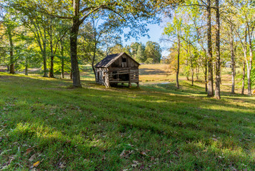 old wooden house in the forest