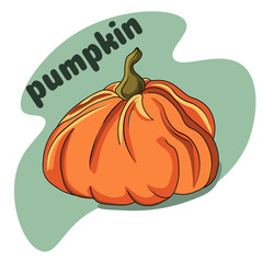 Cartoon pumpkin. Different on white background with the words 