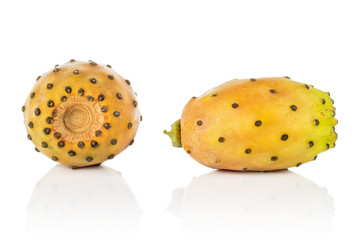 Group of two whole fresh orange opuntia isolated on white background