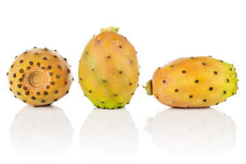 Group of three whole fresh orange opuntia isolated on white background