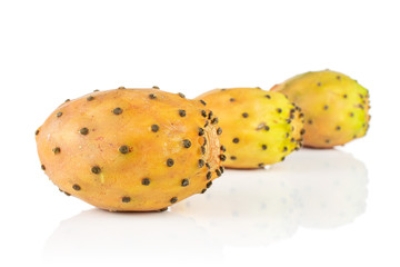 Group of three whole fresh orange opuntia isolated on white background