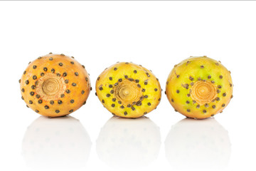 Group of three whole fresh orange opuntia in row isolated on white background