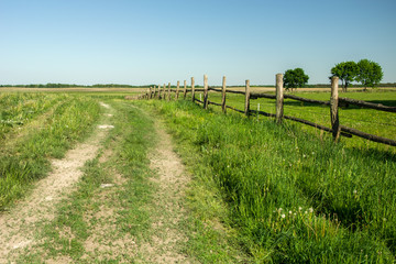 Fototapeta na wymiar Road and wooden fence on a green meadow, trees and clear sky
