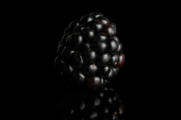 One whole fresh black blackberry isolated on black glass