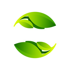 Ecology sphere logo formed by twisted green leaves.