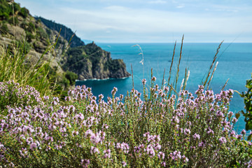 scenic sea landscape in italian Riviera. Liguria, Italy