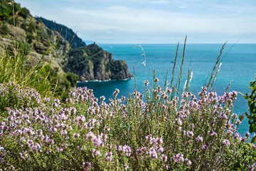 Fototapeten scenic sea landscape in italian Riviera. Liguria, Italy © ueuaphoto