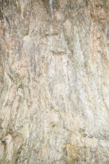 Obraz premium Interior detail of an ancient cave - Stopica cave - Zlatibor mountain, Serbia - suitable as a background