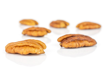 Group of six whole dry brown pecan nut isolated on white background
