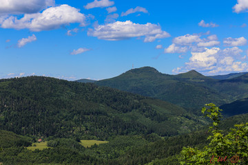 Naklejka premium paysage