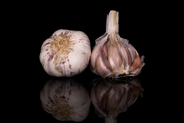 Group of two whole aromatic white garlic isolated on black glass