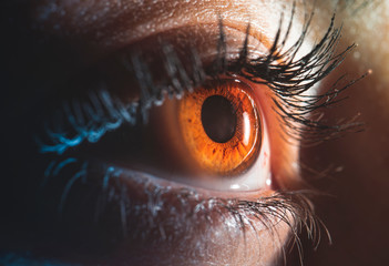 Beautiful close up human eye. Macro photography.