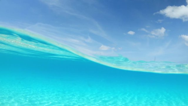 split shot of perfect tropical water in the Caribbean