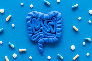 Intestines illness and treatment. Guts near pills on blue background top view