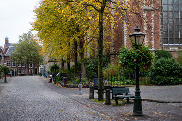 Tree-lined street and plato in front of the Pieterskerk, Leiden, Netherlands