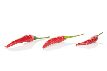 Group of three whole hot red chili in line isolated on white background