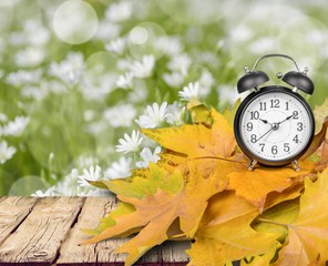 Vintage alarm clock and colorful autumn leaves