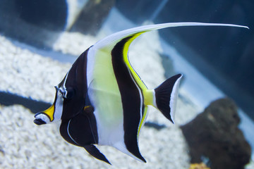 Aquarium