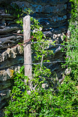 old rustic country farm ranch house texas