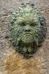 Green Man Face